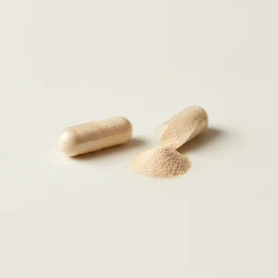 DigeZyme digestive enzyme capsules and powder