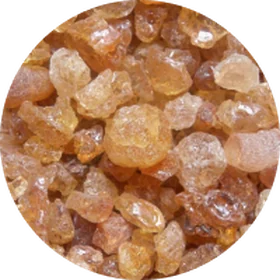 Acacia gum, the source of prebiotic fiber
